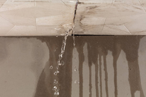 Professional Water Damage Repair technician working in Walkerville, MI